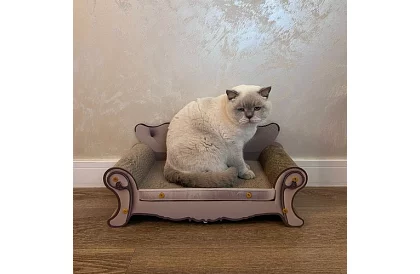 Zgârietoare pentru pisici - canapea Purlov 24285