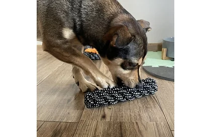 Set mare de jucării pentru câini - 10buc