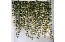Ivy artificial cu iluminare LED - lungime 25m