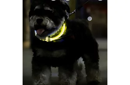 Colier LED luminos cu încărcare USB și lungime ajustabilă