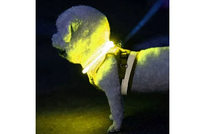 Colier LED luminos cu încărcare USB și lungime ajustabilă