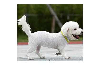 Colier LED luminos cu încărcare USB și lungime ajustabilă