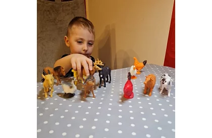 Animale de fermă – 12 figurine