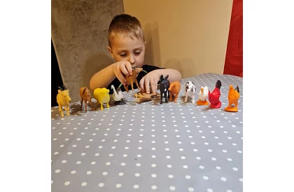 Animale de fermă – 12 figurine