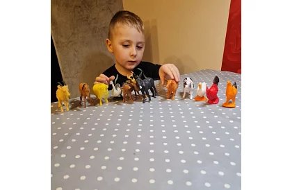 Animale de fermă – 12 figurine