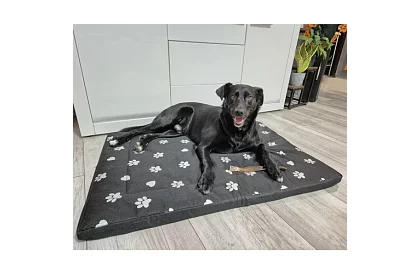 Pat de câine rezistent la apă - saltea 100x70 cm