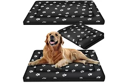 Pat de câine rezistent la apă - saltea 100x70 cm