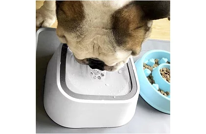 Bol de apă + bol de călătorie în set