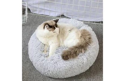 Pat de lux pentru câini, pisici și iepurași - 60 cm