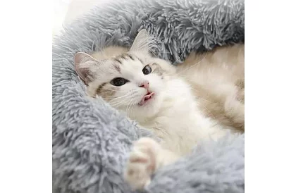 Pat de lux pentru câini, pisici și iepurași - 60 cm