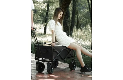 Cărucior pliabil pentru plajă - până la 100kg