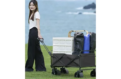 Cărucior pliabil pentru plajă - până la 100kg