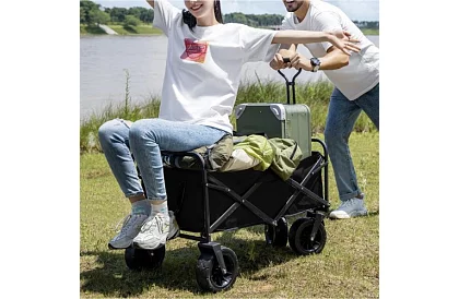 Cărucior pliabil pentru plajă - până la 100kg