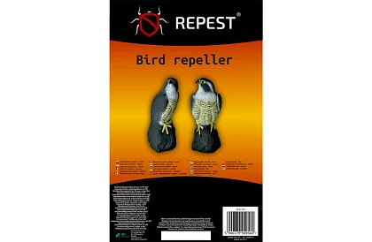 Plașitor de păsări – șoim realist