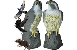 Plașitor de păsări – șoim realist