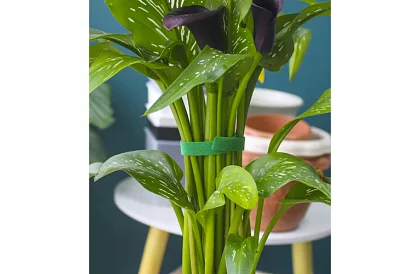 Bandă de legat pentru grădină cu velcro – pentru fixarea plantelor 500 cm