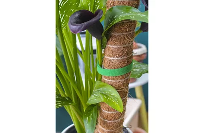 Bandă de legat pentru grădină cu velcro – pentru fixarea plantelor 500 cm