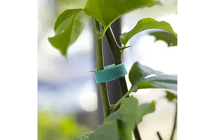 Bandă de legat pentru grădină cu velcro – pentru fixarea plantelor 500 cm