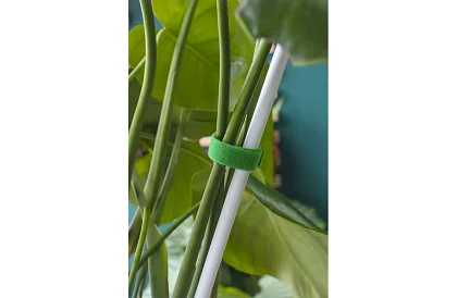 Bandă de legat pentru grădină cu velcro – pentru fixarea plantelor 500 cm
