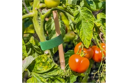 Bandă de legat pentru grădină cu velcro – pentru fixarea plantelor 500 cm