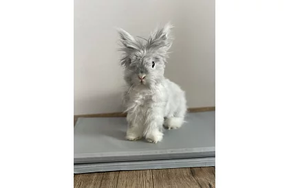 Saltea de răcire din gel - 90 x 50 cm