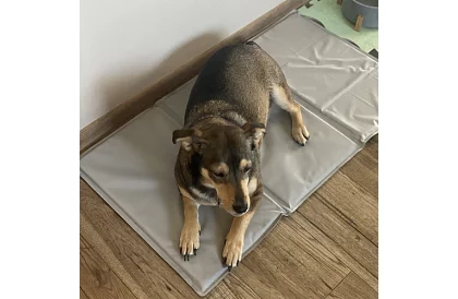 Saltea de răcire din gel - 90 x 50 cm