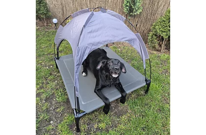 Pat de câine acoperit ridicat