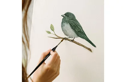 Pensule artistice pentru pictură – 5 bucăți + suport