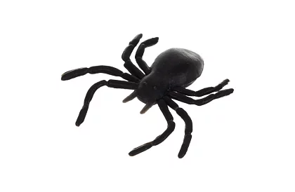 Păianjeni din plastic – Decorațiune de Halloween, 10 bucăți