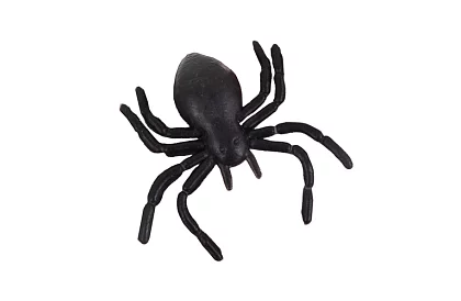 Păianjeni din plastic – Decorațiune de Halloween, 10 bucăți