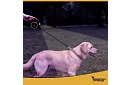 Flexi lesă pentru câini cu lanternă LED - 5 m - 10 - 25 kg