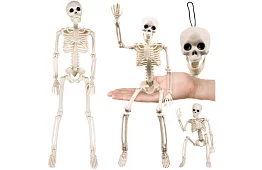 Decorație schelet pentru suspendare – 40 cm