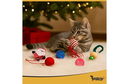 Set de jucării pentru pisici – 6 buc.