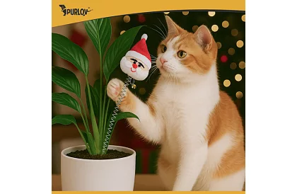 Set de jucării pentru pisici – 6 buc.