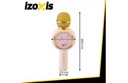 Microfon karaoke wireless Bluetooth – rozie