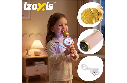 Microfon karaoke wireless Bluetooth – rozie