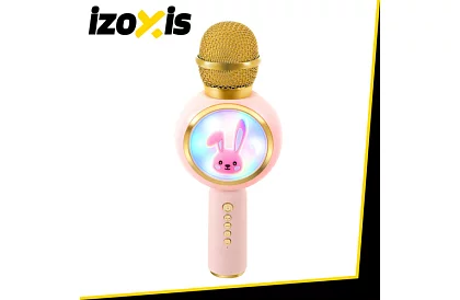 Microfon karaoke wireless Bluetooth – rozie