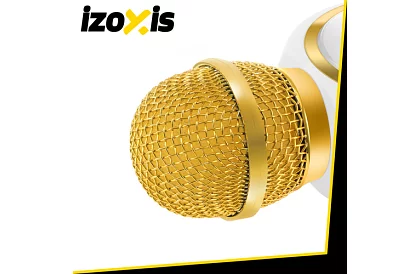 Microfon karaoke wireless Bluetooth – alb.