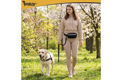 Belt de alergare cu lesa pentru câini + accesorii