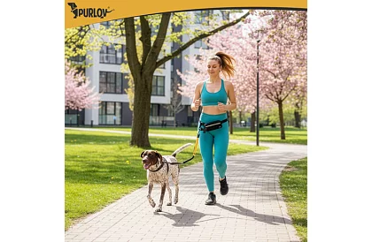 Belt de alergare cu lesa pentru câini + accesorii