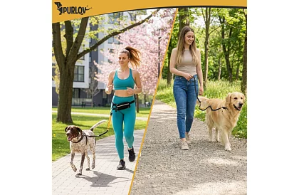 Belt de alergare cu lesa pentru câini + accesorii