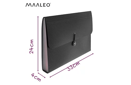 Sarcina pentru documente – organizator A4, 13 compartimente