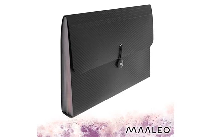 Sarcina pentru documente – organizator A4, 13 compartimente