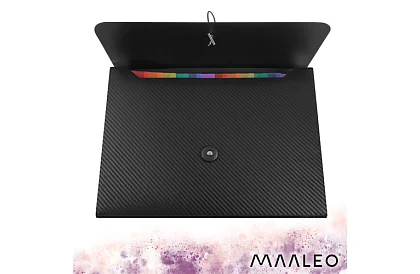 Sarcina pentru documente – organizator A4, 13 compartimente