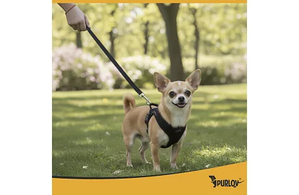 Ham strâns fără presiune pentru câini și pisici cu lesă – Mărimea XS