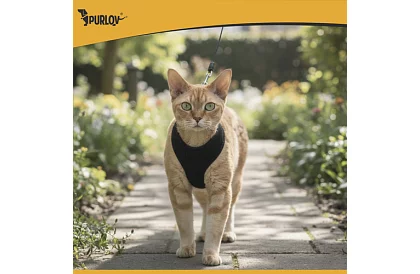 Ham strâns fără presiune pentru câini și pisici cu lesă – Mărimea XS