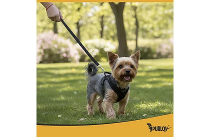 Ham strâns fără presiune pentru câini și pisici cu lesă – Mărimea S