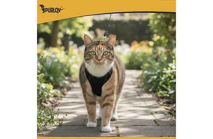 Ham strâns fără presiune pentru câini și pisici cu lesă – Mărimea S