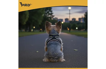 Ham strâns fără presiune pentru câini și pisici cu lesă – Mărimea S