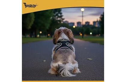 Ham strâns fără presiune pentru câini și pisici cu lesă – Mărimea M